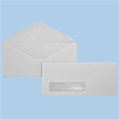#10 Standard Window Envelopes